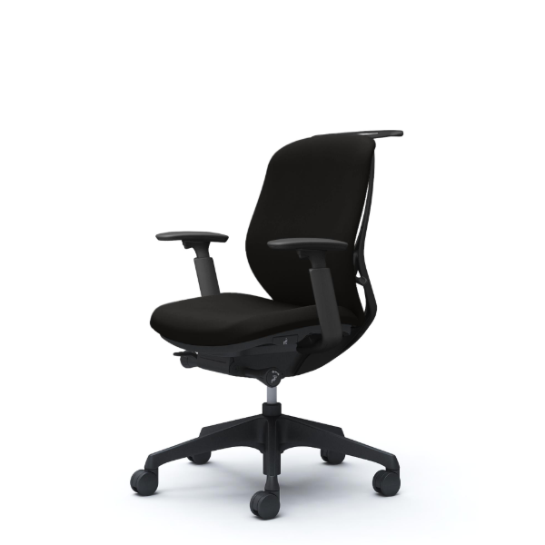 オカムラ シルフィーチェア ローバック クッション (プレーン) アジャストアーム 樹脂成型脚 C684XR-FSF1