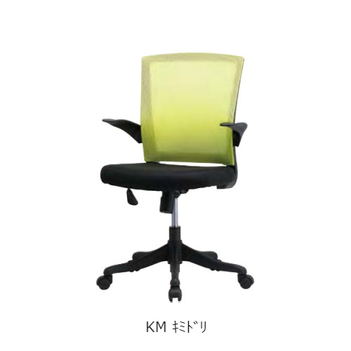 井上金庫 FEM/Office chair 肘付 FEM-14ABK/FEM-14AGL/FEM-14ABL/FEM-14AKM/FEM-14ARD/FEM-14AOR