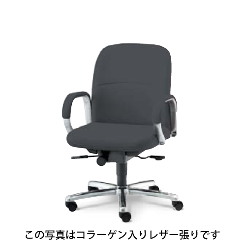ウチダ 高級チェア EX-200シリーズ オープン肘タイプ ローバック 布張り EX-200N 1-229-2020/1-229-2028