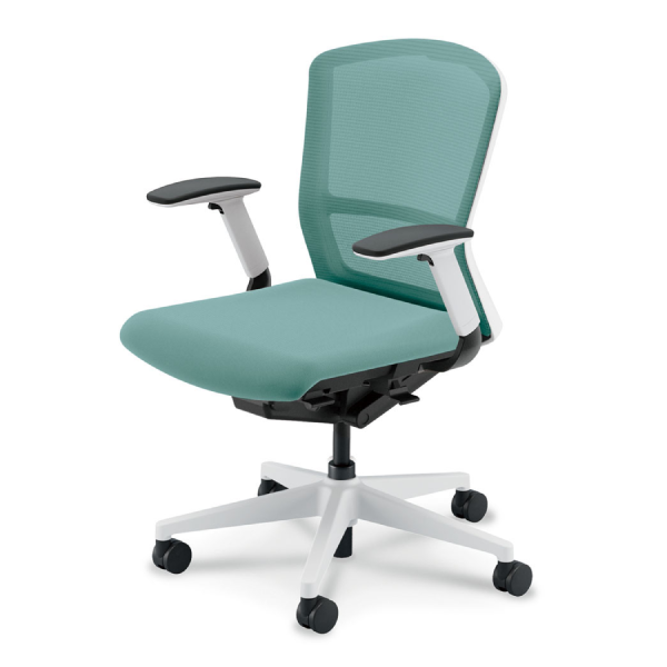 セット売り　OKI 25-26 OGASAKA / CT-IZ・(オガサカ) ≪2025-2026≫ [MISTY]