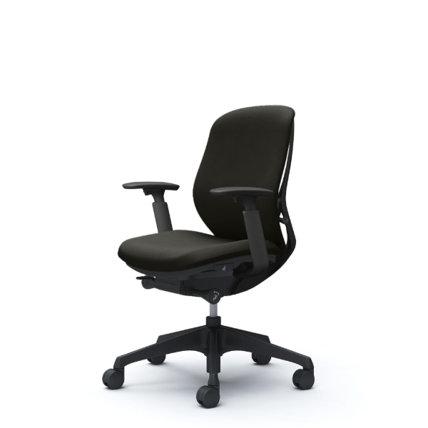 オカムラ シルフィーチェア ローバック クッション (プレーン) アジャストアーム 樹脂成型脚 C683XR-FSJ4