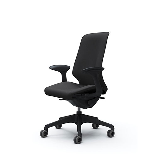 [レア]美品Wilkhahn ウィルクハーン　オッコチェア② ウィルクハーン 222レンジ オッコ(Wilkhahn 222 range Occo.) 肘付き