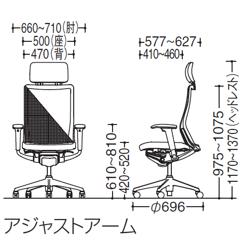 コーラルチェア　サイズ