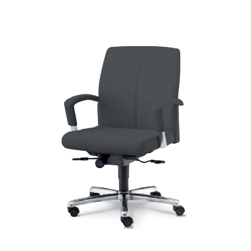 ウチダ 高級チェア EX-300シリーズ ローバックタイプ コラーゲン入りレザー張り EX-305L 1-229-3050