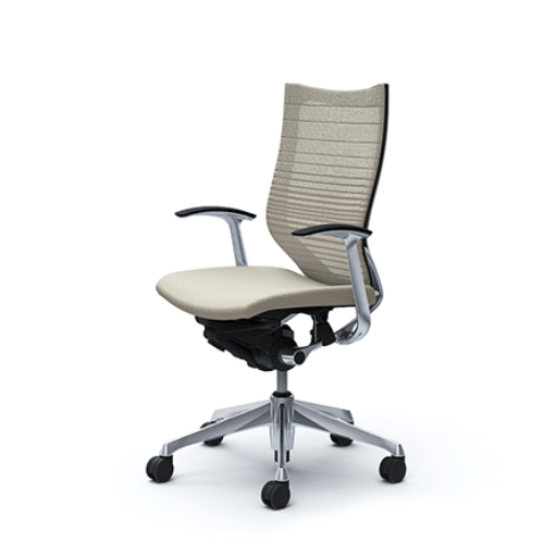 オカムラ バロンチェア　グラデーションサポートmesh ハイバック デザイン肘付 ポリッシュフレーム　CP45BR-FGR/CP45BW-FGR