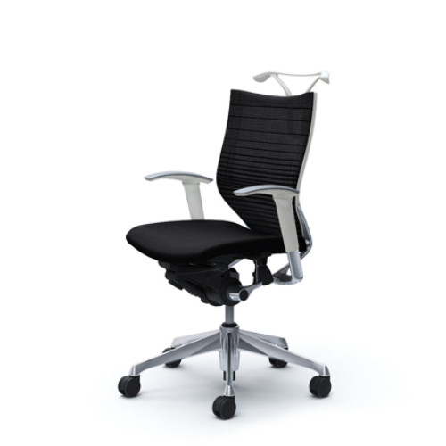 オカムラ バロンチェア　グラデーションサポートmesh ローバック アジャスト肘付 ポリッシュフレーム ハンガー付　CP84BR-FGR/CP84BW-FGR