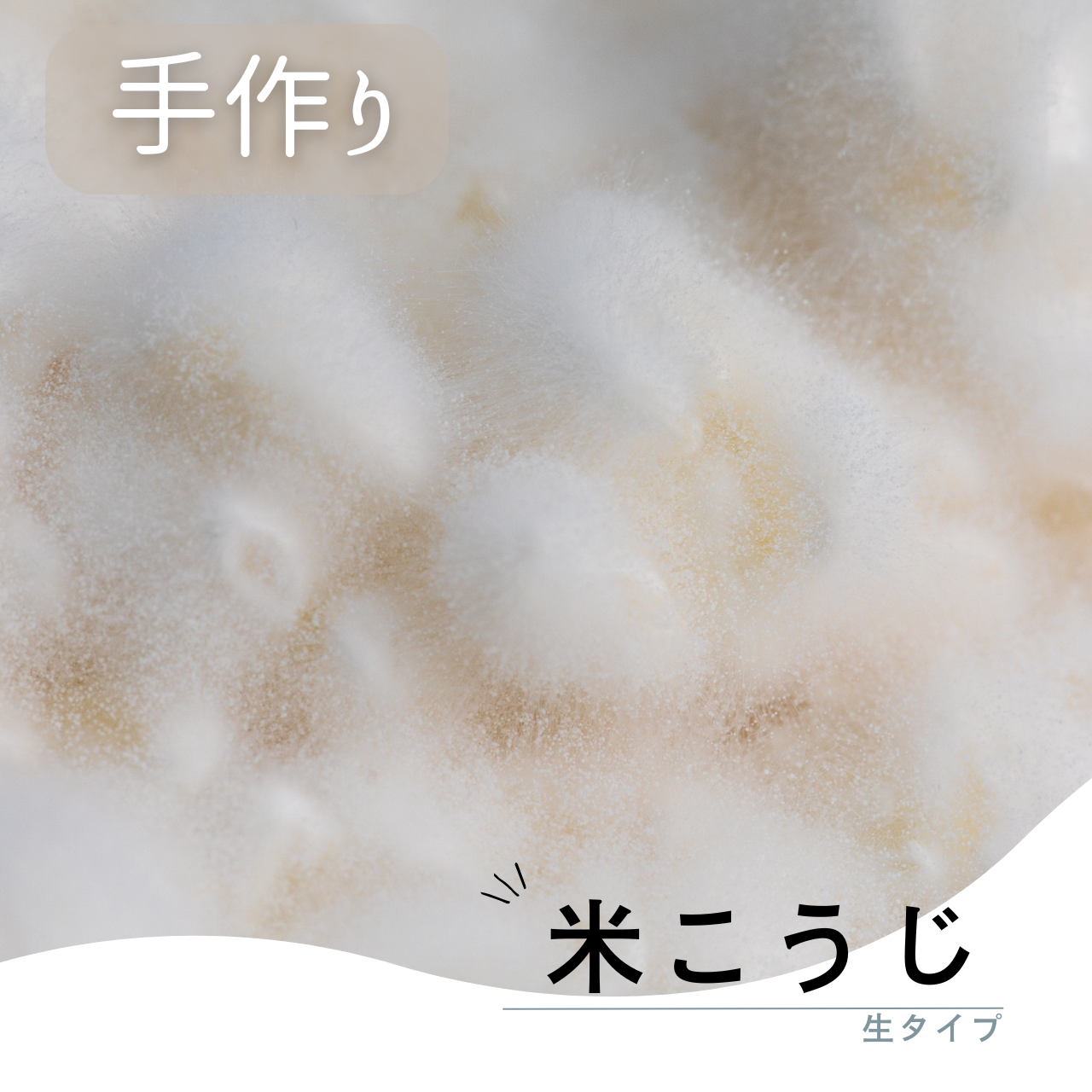 もろぶた直送 生タイプ米麹 500g｜100%福井県産コシヒカリ使用