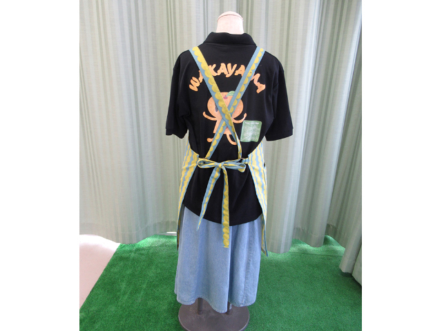 エプロン　（和歌山）　Ｂ型