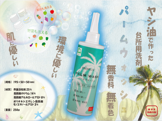 パームウォッシュ（横須賀）