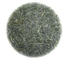 金子園　お茶