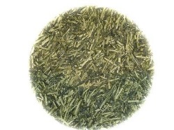 金子園　お茶