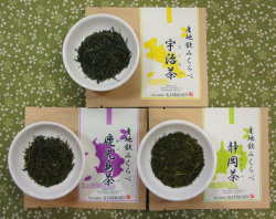 飲み比べセット 産地別厳選 日本茶専門 e-cha.net 金子園