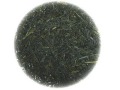 秘園の雫　深蒸し煎茶