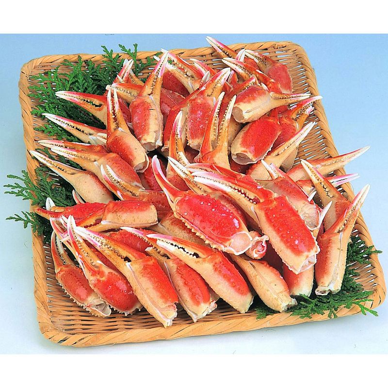 ボイルずわいがに爪1000g《1897-585A26》