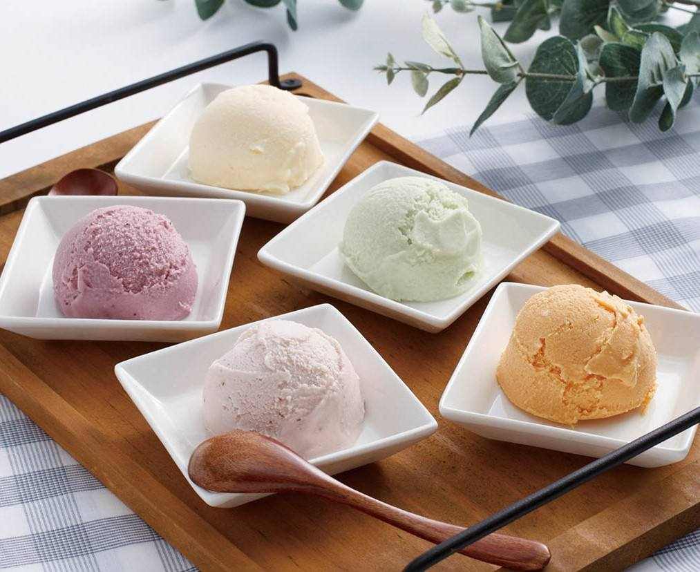 北海道乳蔵アイスクリーム5種5個《4821-575AP25》