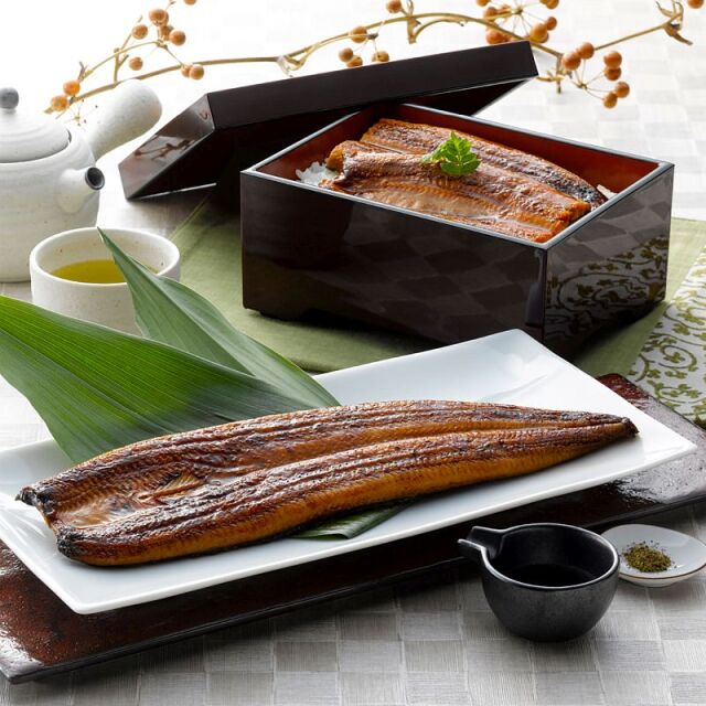 うなぎ割烹「一愼」特製長蒲焼120ｇ×2《1896-038A26》