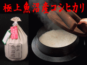 極上魚沼産こしひかり