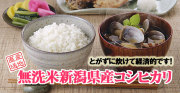 無洗米