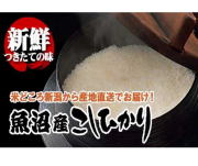 魚沼産コシヒカリ