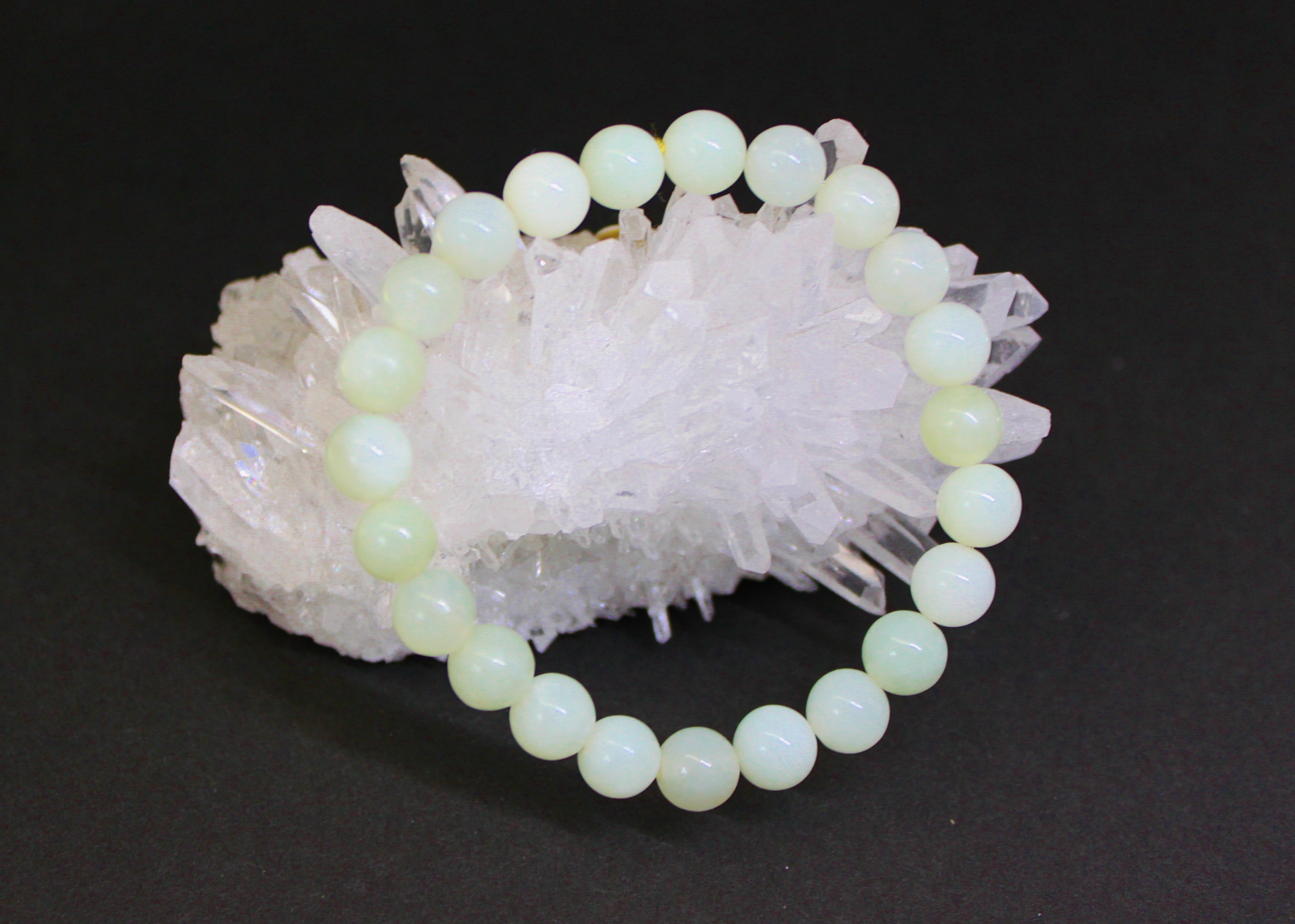 健康運-08-ニュージェイド