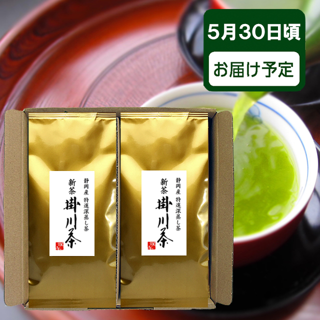 ご予約承り中 ご予約承り中 2026年度産 新茶  静岡県産 特選掛川茶100ｇ10本セット