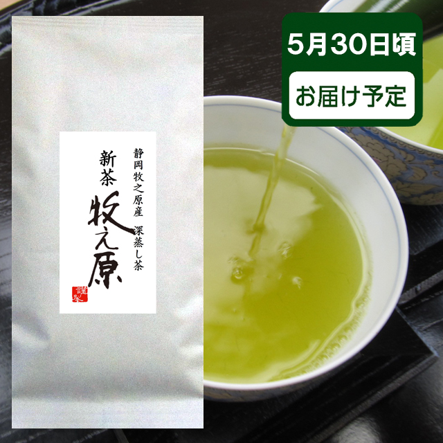 ご予約承り中 2024年度 新茶 静岡県産 深蒸し茶 牧之原 100ｇ