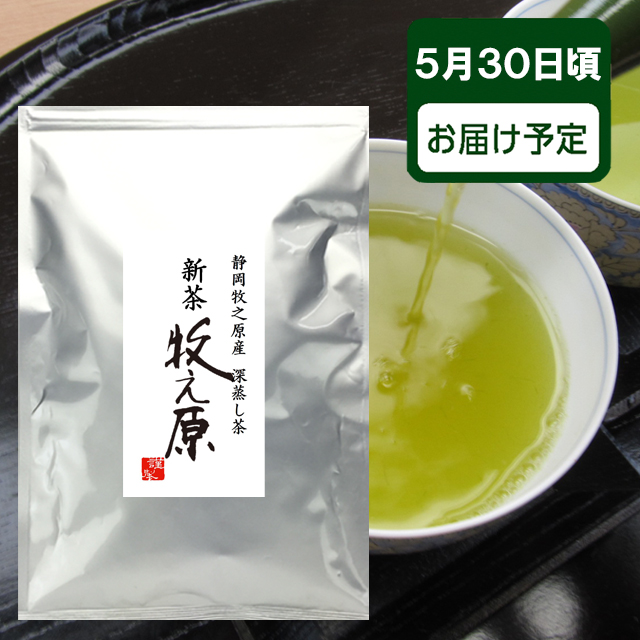 ご予約承り中 2024年度 新茶 静岡県産 お徳用・業務用 静岡牧之原 坂部産 深蒸し茶 牧之原 500ｇ