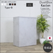 ゴミ箱　おしゃれ　スリムゴミ箱　45Lゴミ箱　分別ゴミ箱　キッチンゴミ箱　ダストボックス