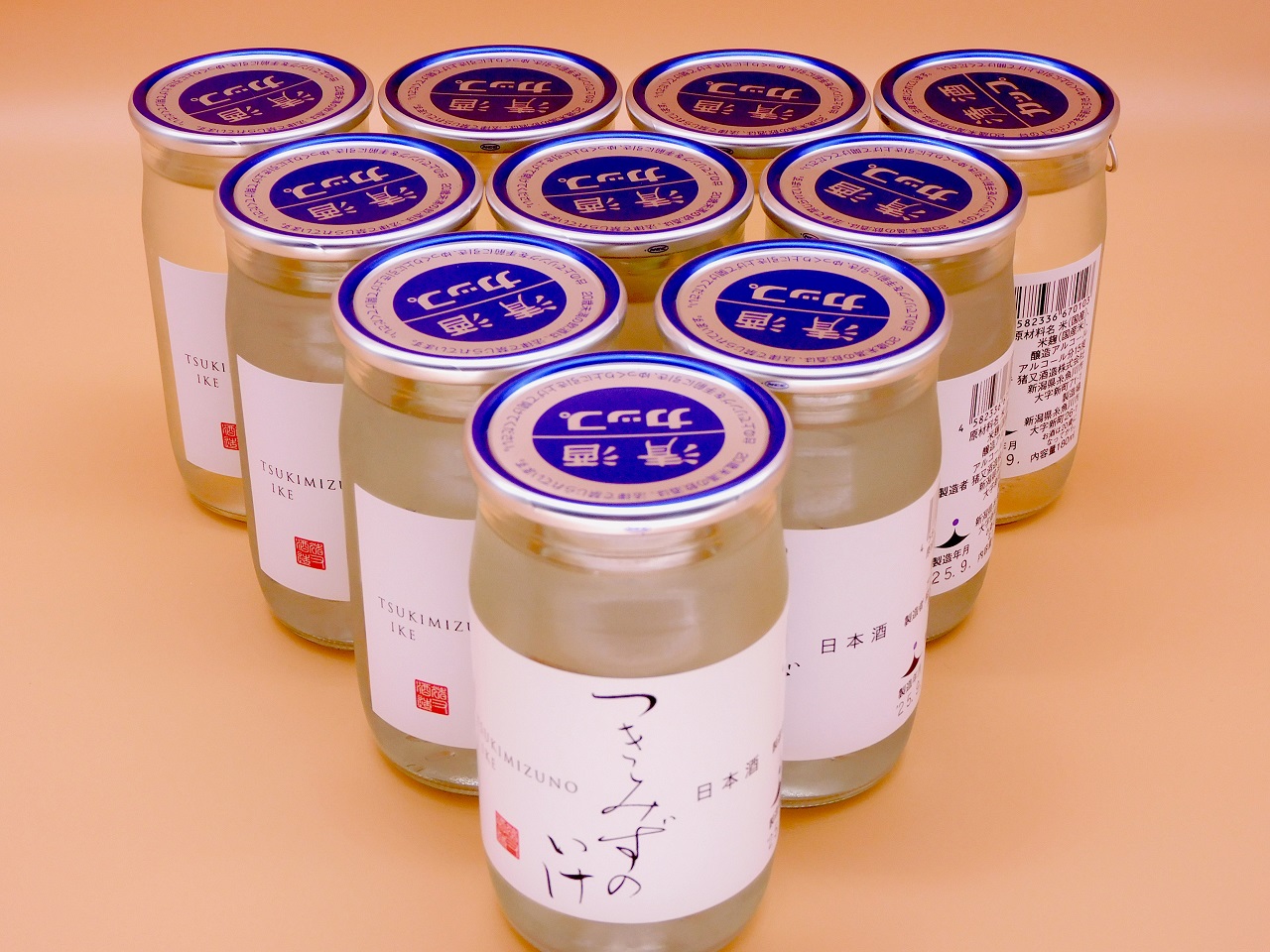 月不見の池　清酒ワンカップ１８０ｍｌ　１０本