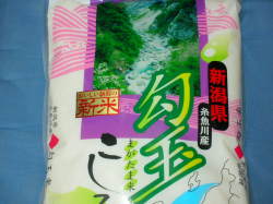 まがたま米５ｋｇ新