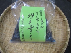 糸魚川　汐もずく