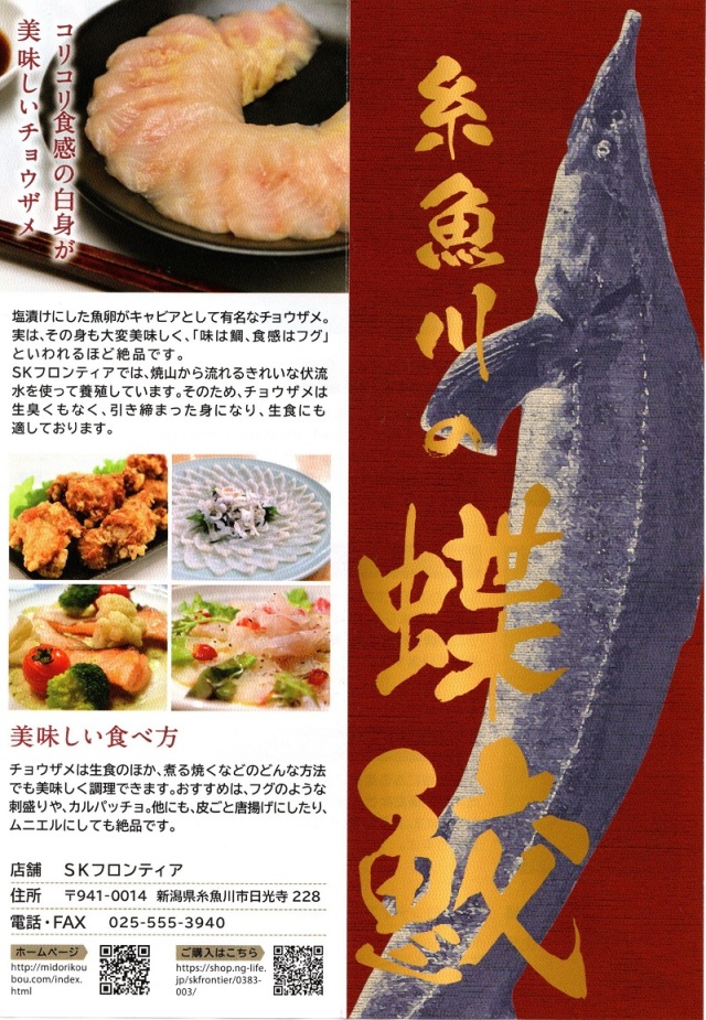 SKフロンティア　チョウザメ＿leaf2