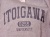 いといがわ大学Tシャツ＿D