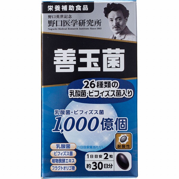 野口医学研究所 善玉菌 30g（500mg×60粒）