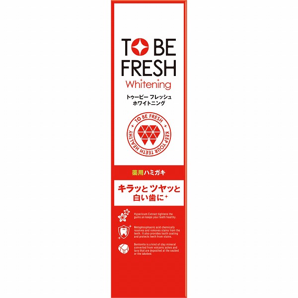 トゥービー・ホワイト 薬用デンタルペースト 100g【医薬部外品】