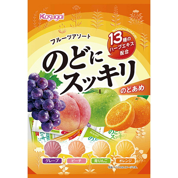 春日井製菓  Ｎのどにスッキリフルーツアソート 118g×12個入り(1ケース)