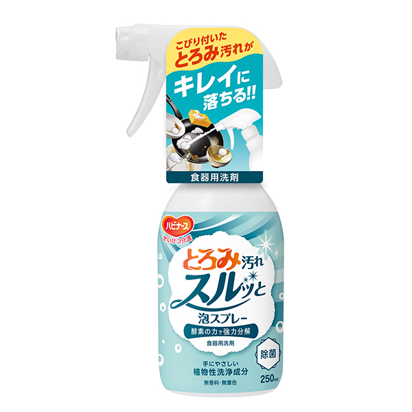 とろみ汚れスルッと泡スプレー 250ml
