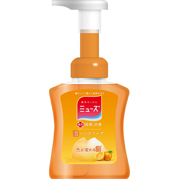 ミューズ 泡ハンドソープ フルーティフレッシュの香り 本体 250ml(医薬 