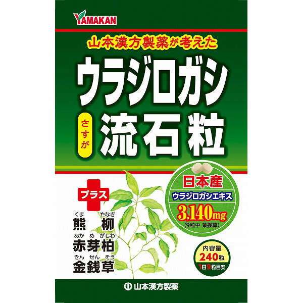 ウラジロガシ流石粒 240粒