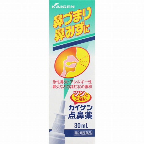 ★カイゲン点鼻薬 30mL【第2類医薬品】