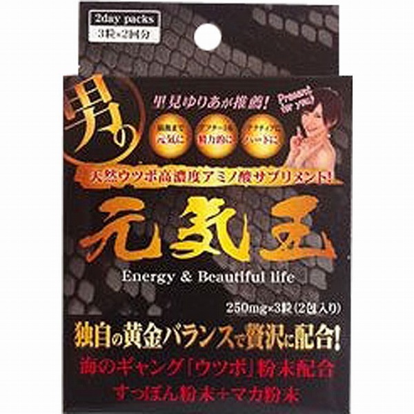 元気玉 3粒×2包