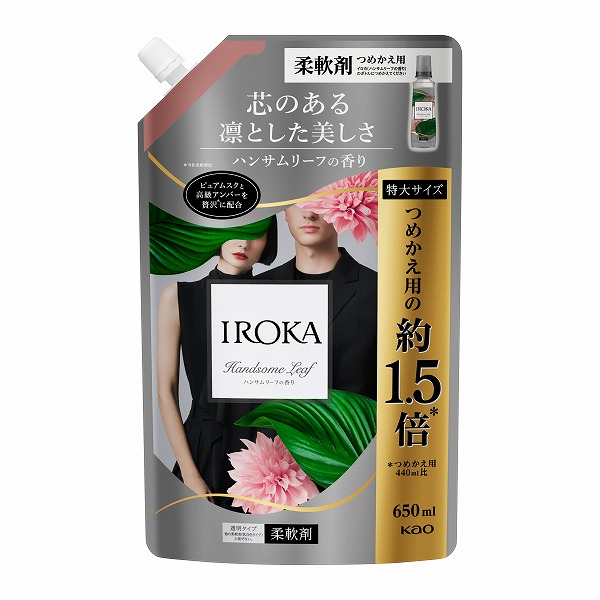 IROKA ハンサムリーフ スパウト 650ml　花王