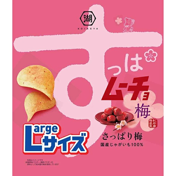 湖池屋 Largeサイズ すっぱムーチョ梅 108g×12袋入り (1ケース)