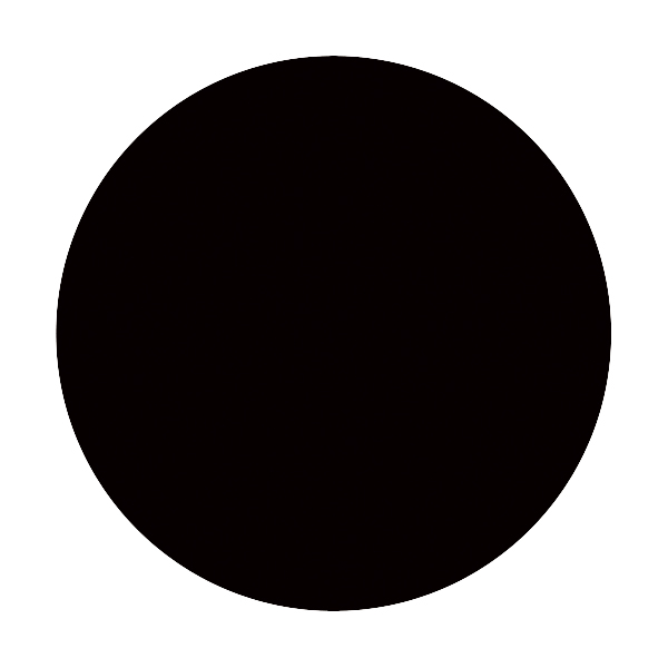 資生堂 マキアージュ ビューティーシルエットマスカラ Bk999 6g