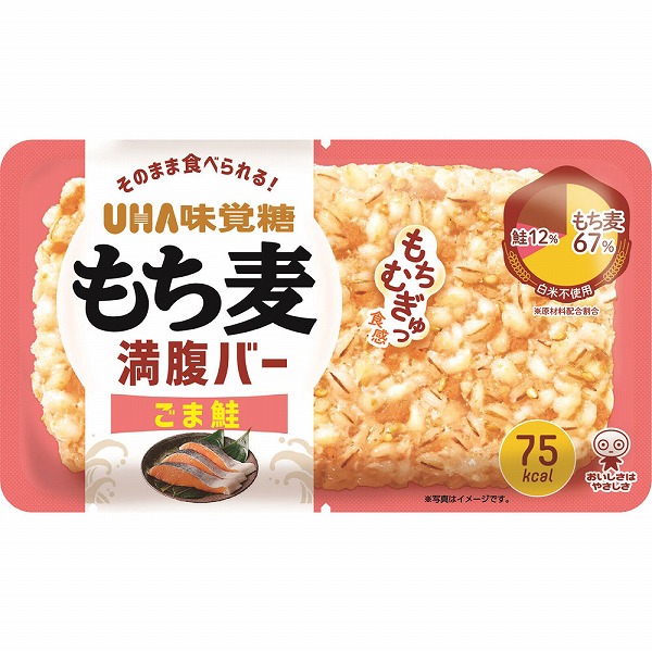 もち麦満腹バー ごま鮭 55g×10個入り(1ケース)