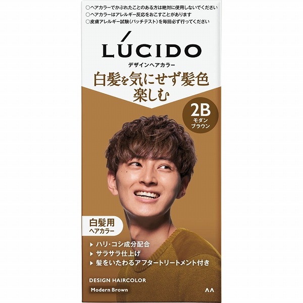 ルシード デザインヘアカラー 2B モダンブラウン【医薬部外品】