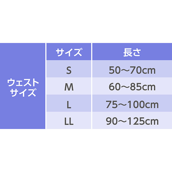【定期便】ライフリーうす型軽快パンツLサイズ2回吸収30枚入×2パック【直送品】