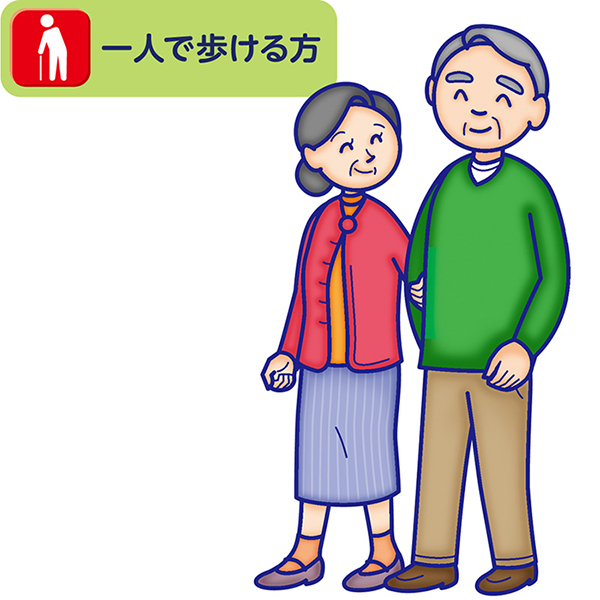 【定期便】ライフリーうす型軽快パンツLサイズ2回吸収30枚入×2パック【直送品】