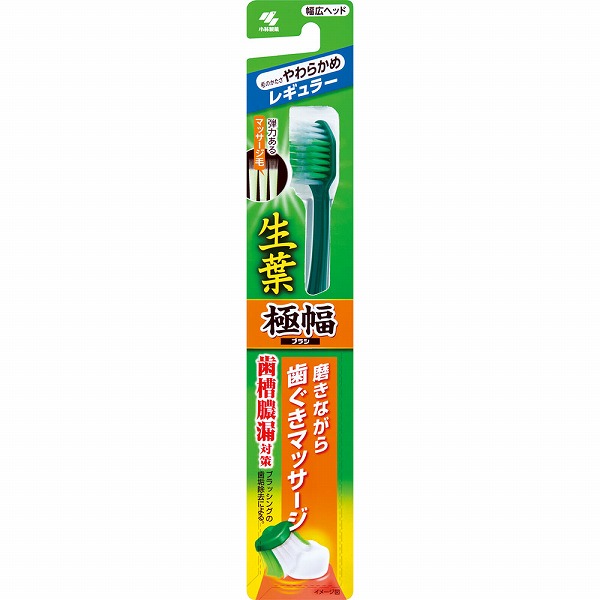 生葉極幅ブラシ レギュラー やわらかめ ※色は選べません