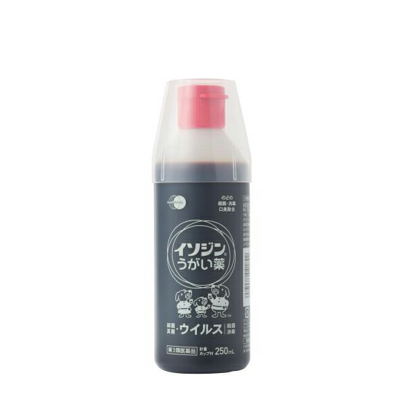 【第3類医薬品】イソジン　うがい薬 　250mL